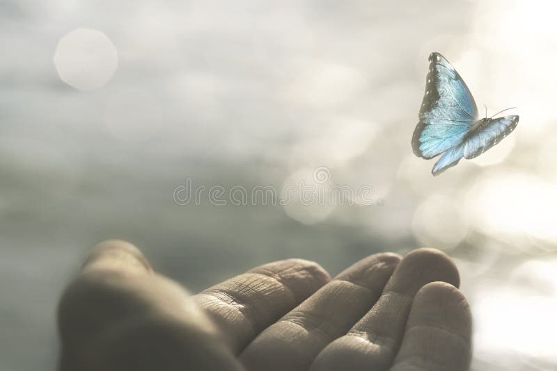 A delicate butterfly flies away from a woman`s hand
