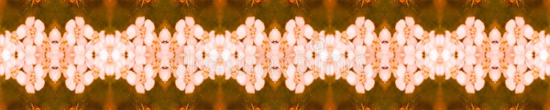 Delicate Floral Border. Mexican Mosaic Design. Rustic Floral Image. Coral Seamless Santorini Pattern Original. Mottled Floral Border. Marrakech Texture Design stock image Delicate Floral Border. Mexican Mosaic Design. Rustic Floral Image. Coral Seamless Santorini Pattern Original. Mottled Floral Border. Marrakech Texture Design stock image