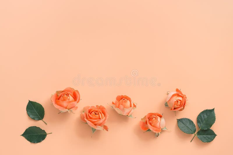 Hãy chiêm ngưỡng một bình hoa độc đáo với sự kết hợp giữa hoa hồng san hô và màu pastel giữa chúng. Sự tươi tắn và nổi bật của chúng sẽ khiến bạn bị thu hút và muốn xem ảnh ngay lập tức.