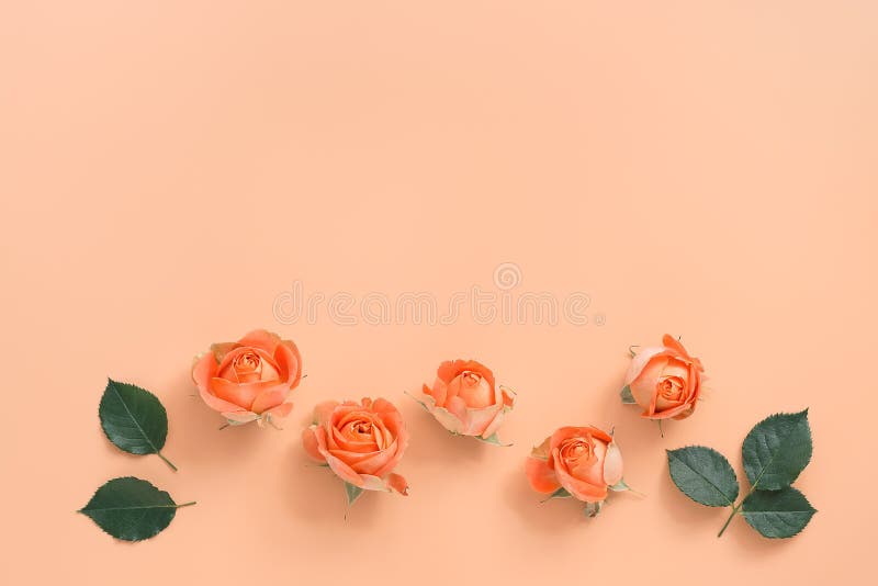 Tổng hợp 400 Peach background wedding Tuyệt đẹp, hiếm có