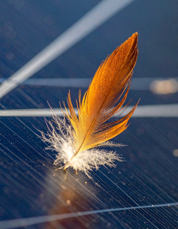 Delicate Orange Feather on a Solar Panel royalty free illustration