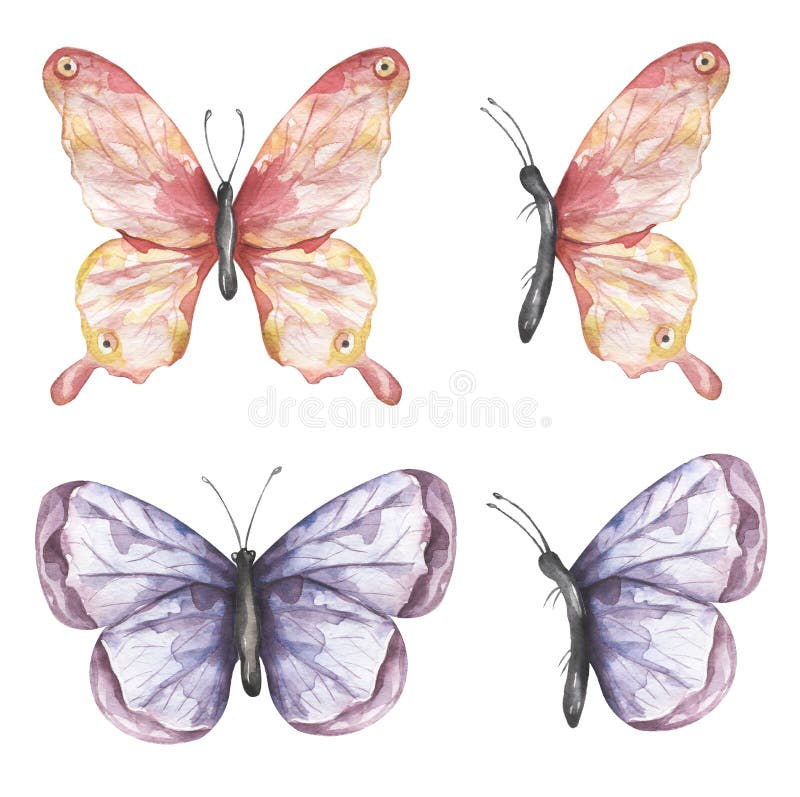 Delicate pink and violet butterfly Clipart Set, Watercolor Insects illustration, Butterflies clip art, Wedding Invitation, Logo