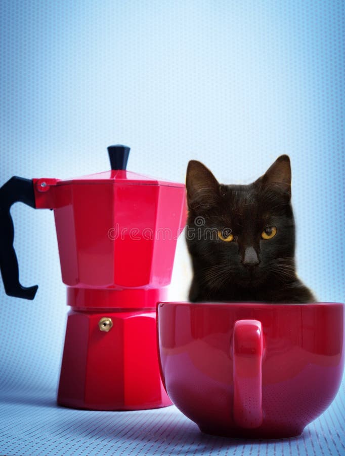 Classico Italiano caffè produttore pentola un tazza Attraverso nero gatto Come eccellente caffè.