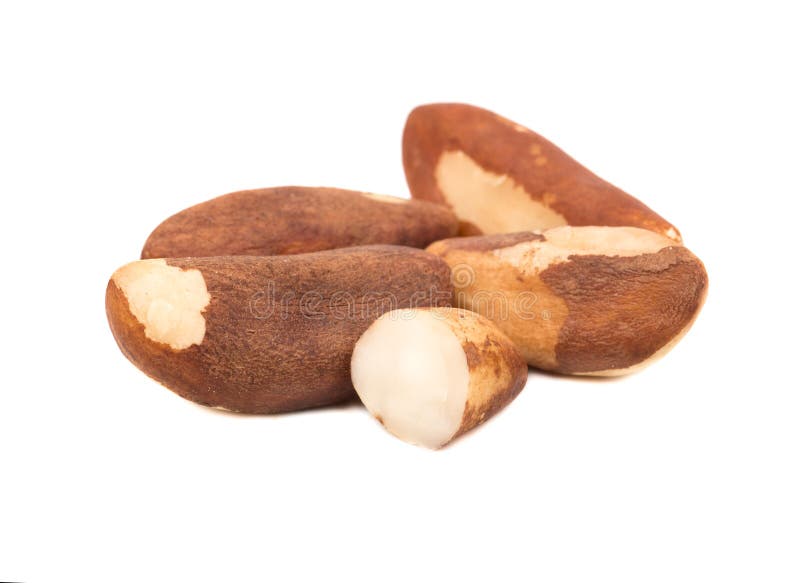 Half Brazil nut stock photo. Image of organic, dietetic 90889618
