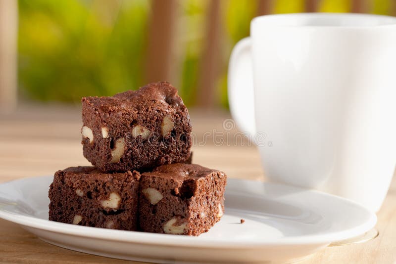 Delicious chocolate brownie with pecan and walnut. royalty free stock image