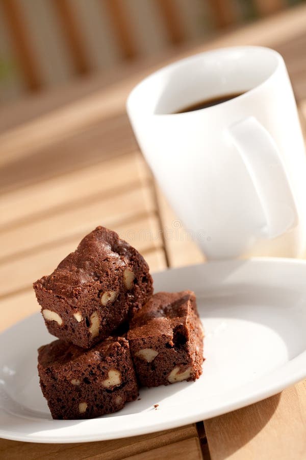 Delicious chocolate brownie with pecan and walnut. royalty free stock photos