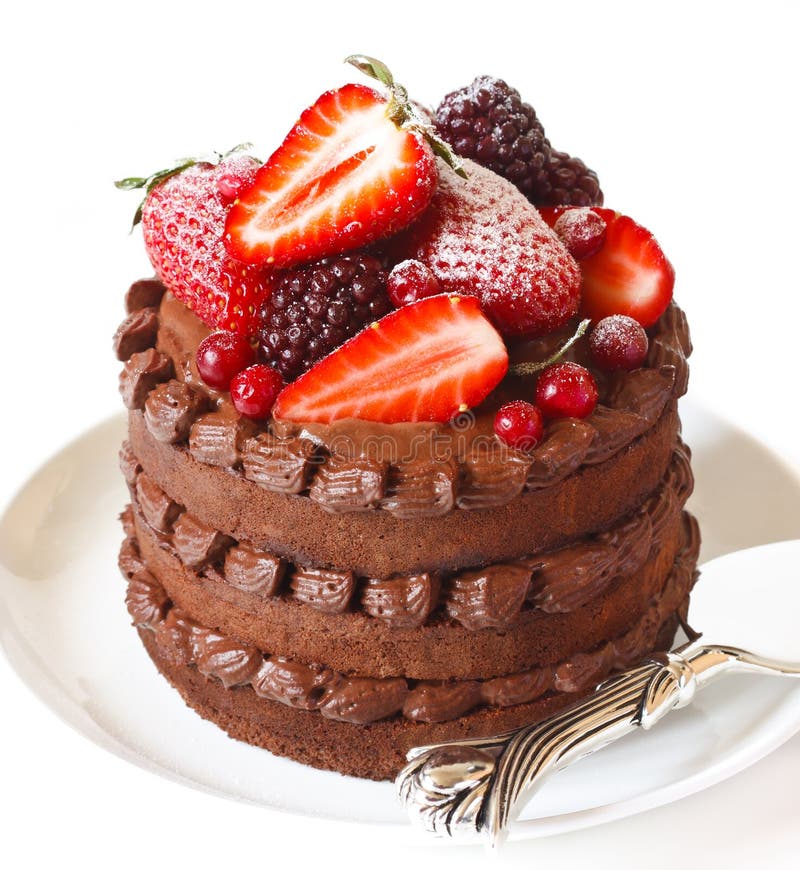 Delicious chocolate cake. royalty free stock photography