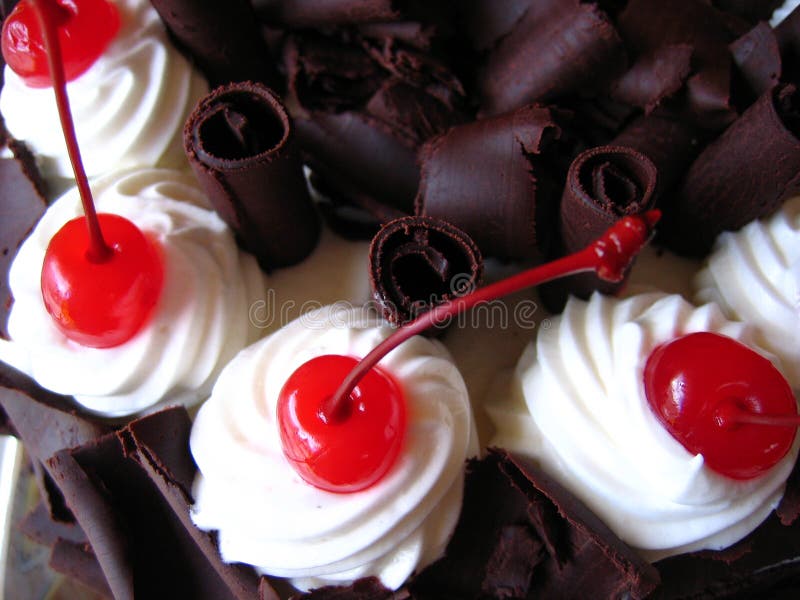 Delicious chocolate cake with maraschino cherries