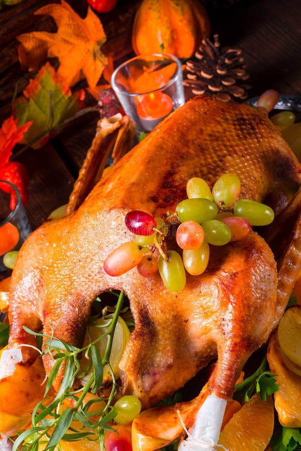 Goose in oven stock photo. Image of crust, lunch, closeup 12317036