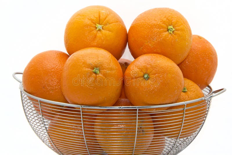 Florida Oranges stock photo. Image of grove, pretty, farm 19545174