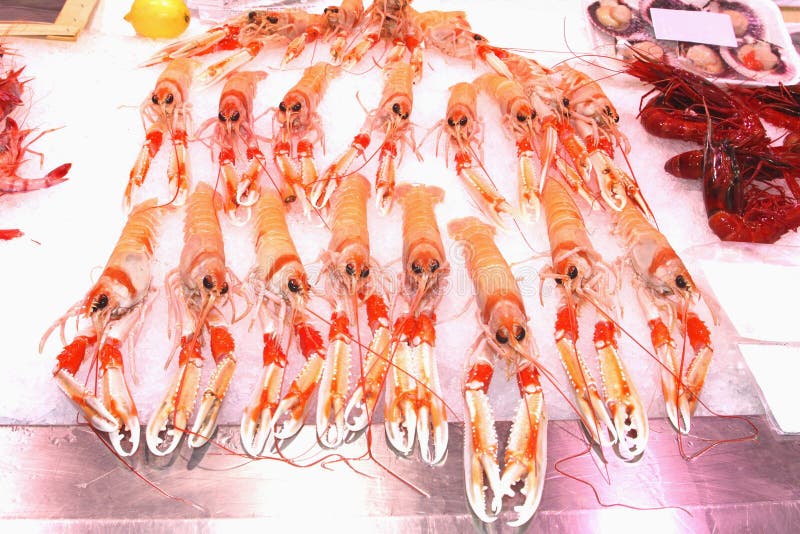 Delicious fresh crayfish, Valencia, Spain