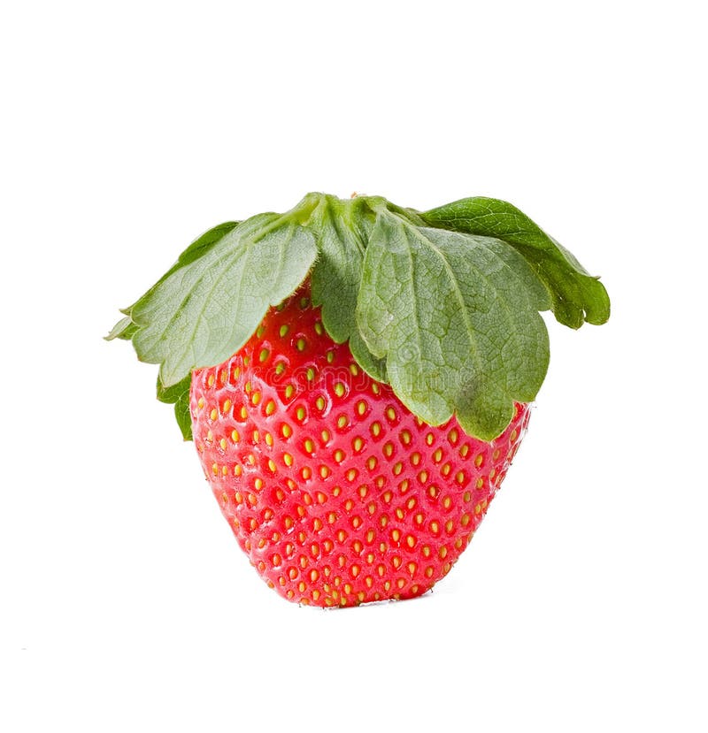 Delicious fresh strawberry fruit macro