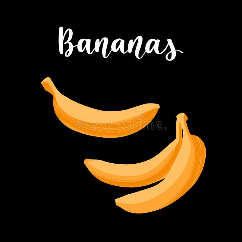 Fresh Three Delicious Banana Bunch, Hand Drawn Vector Illustration