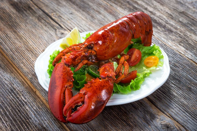 A delicious freshly boiled lobster royalty free stock image A delicious freshly boiled lobster royalty free stock image