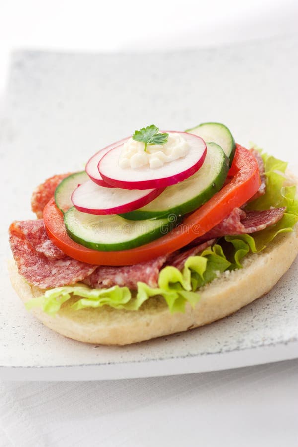 Delicious Ham, Cheese and Salami Sandwich Stock Image Image of fast, beef 24263839