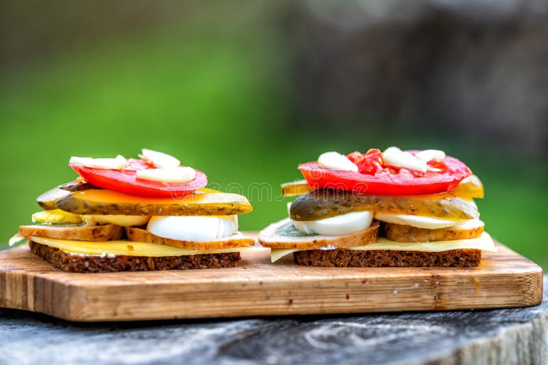 Delicious, Healthy Sandwiches with Vegetables, Egg, Cheese and Meat