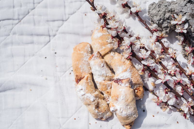 Delicious homemade pastries sprinkled with sugar powder. Sweets and a branch of cherries