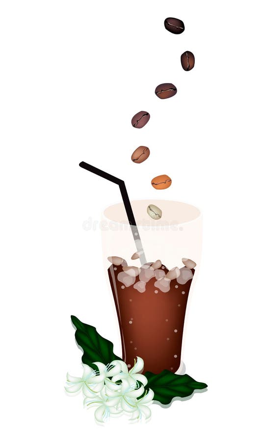 Coffee Time, The Roasted Coffee Bean Falling Down to A Glass of Iced Coffee with Coffee Flower. Coffee Time, The Roasted Coffee Bean Falling Down to A Glass of Iced Coffee with Coffee Flower