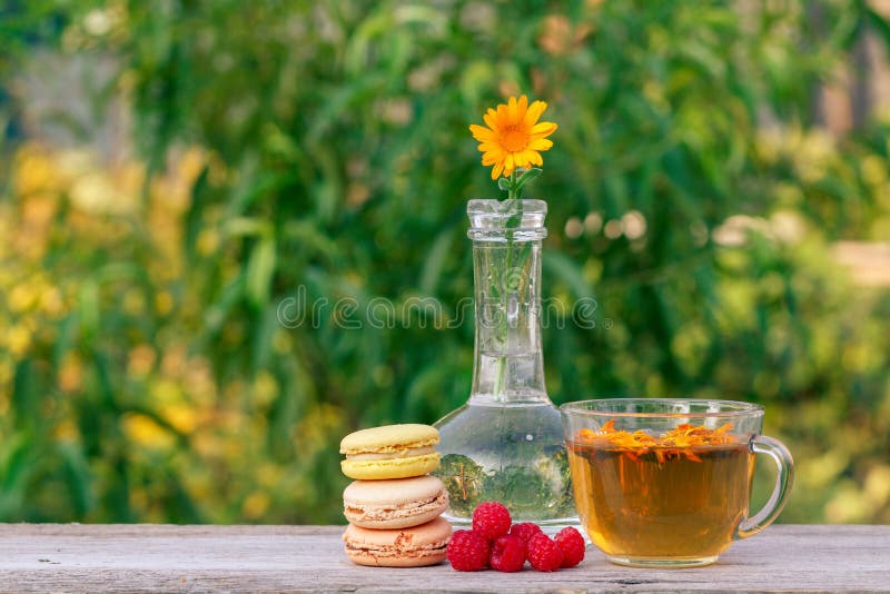 Delicious macaroons cakes of different color, calendula flower with a stem in a glass flask and cup of green tea royalty free stock photo
