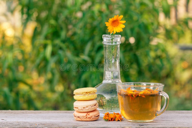 Delicious macaroons cakes of different color, calendula flower with a stem in a glass flask and cup of green tea stock image