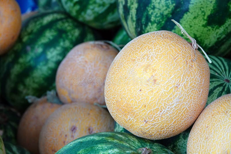 Delicious Organic Melon in Grocery Store Stock Photo Image of melon
