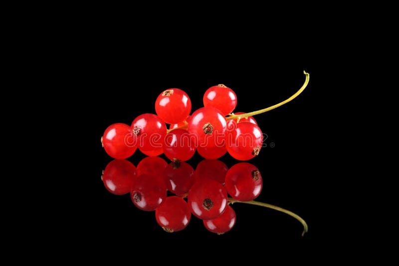 Delicious redcurrants