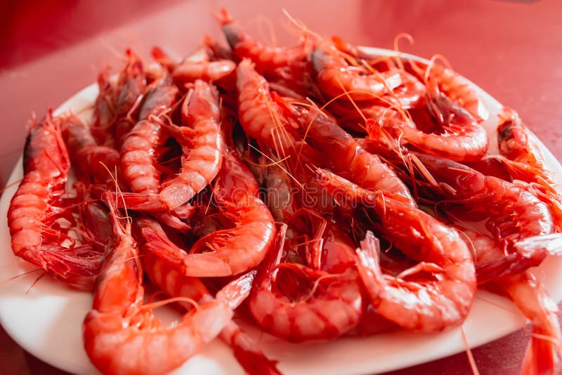 Delicious Shrimp Dish. Prawn Dish Stock Photo Image of almeria