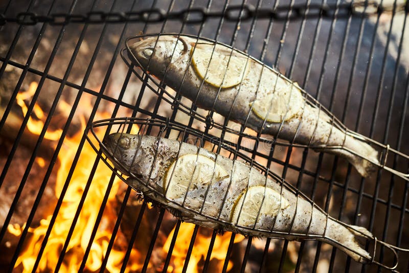 Delicious Trout with Spices Roast on a Grill Over a Fire Stock Image