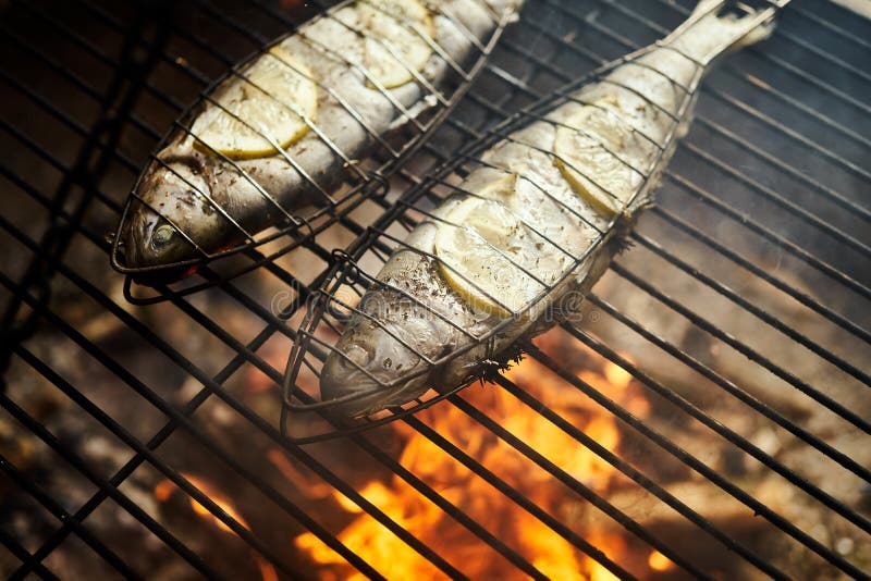 Delicious Trout with Spices Roast on a Grill Over a Fire Stock Image