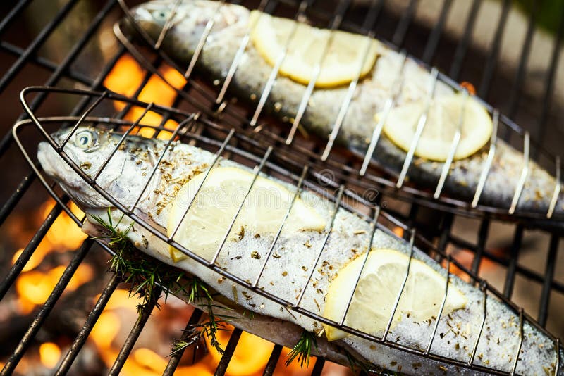 Delicious Trout with Spices Roast on a Grill Over a Fire Stock Image