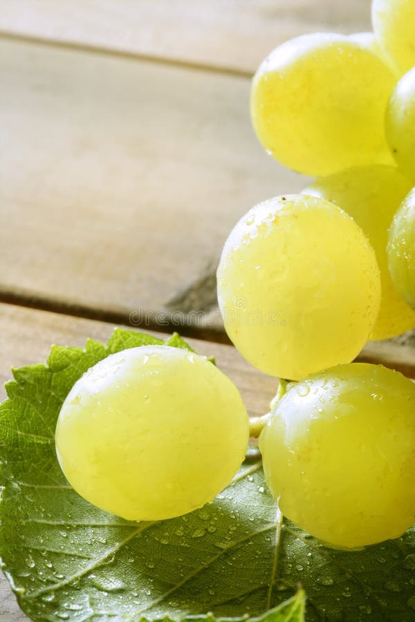 Delicious Yellow Autumn Grape Fruit Stock Photo Image of background