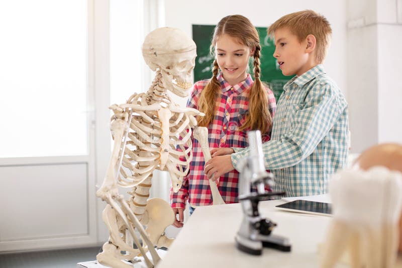 127 Children Looking Skeleton Stock Photos - Free & Royalty-Free Stock ...