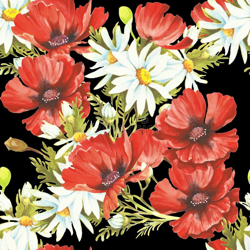 Delikat sömlös modell med vallmo och kamomillar vattenfärg vektor illustrationer Delikat sömlös modell med vallmo och kamomillar vattenfärg vektor illustrationer