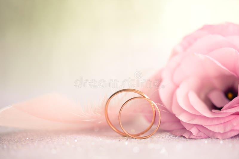Delikatny Ślubny tło z pierścionkami i Pięknym kwiatem retro