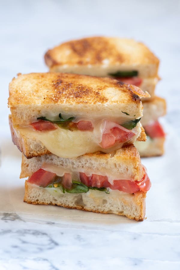 Grilled Cheese Sandwich Look Like Rocket in a Space Stock Image Image