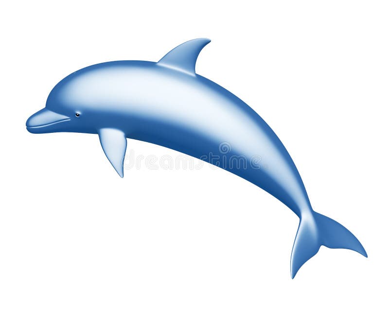 Dolphin on a white background. Dolphin on a white background