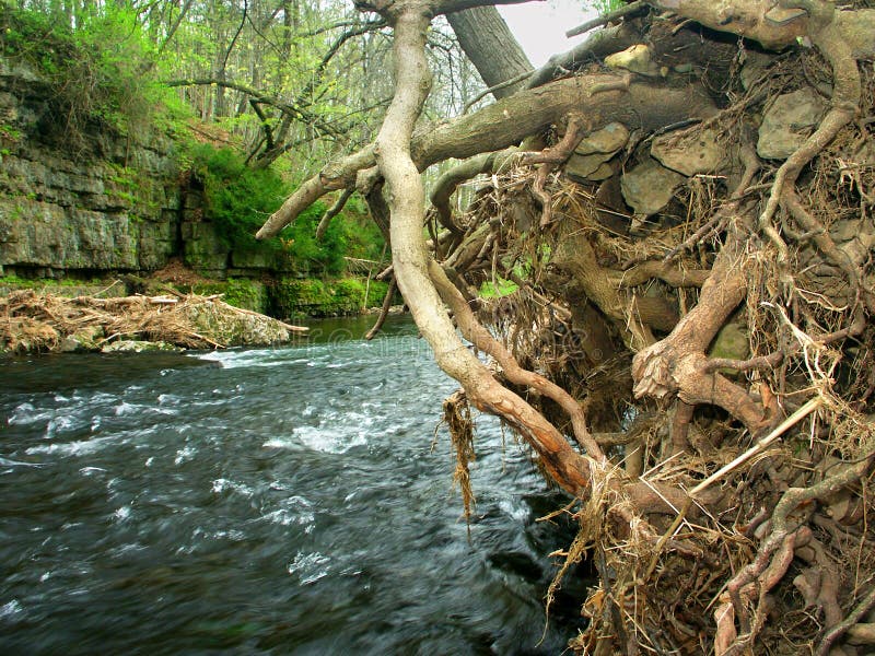 Erosion undercuts the Apple River bank in northern Illinois. Erosion undercuts the Apple River bank in northern Illinois.