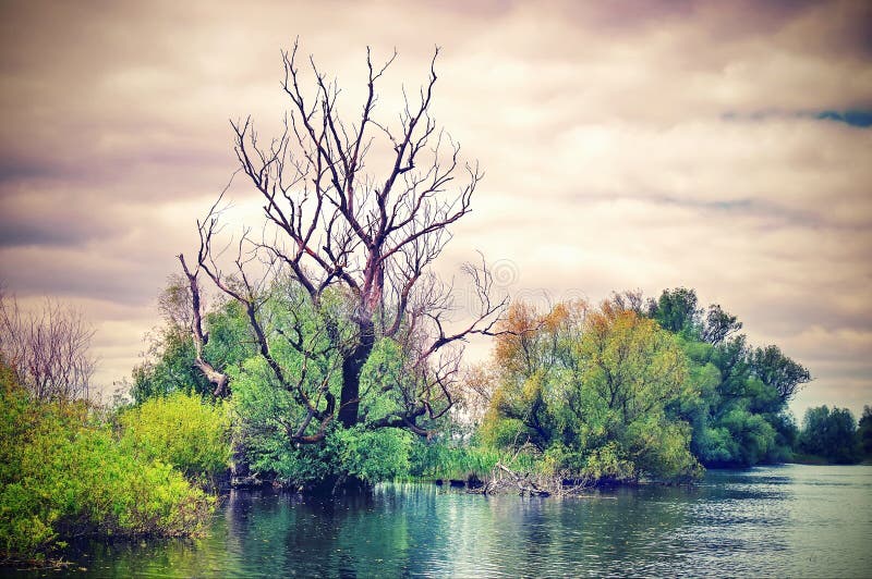 Danube River. Superb dramatic landscape from the natural reserve of the Danube Delta - landmark attraction in Romania; postcard effect. Danube River. Superb dramatic landscape from the natural reserve of the Danube Delta - landmark attraction in Romania; postcard effect.