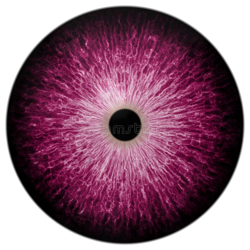 Demon purple eye halloween with black pupil and white background, gray circle