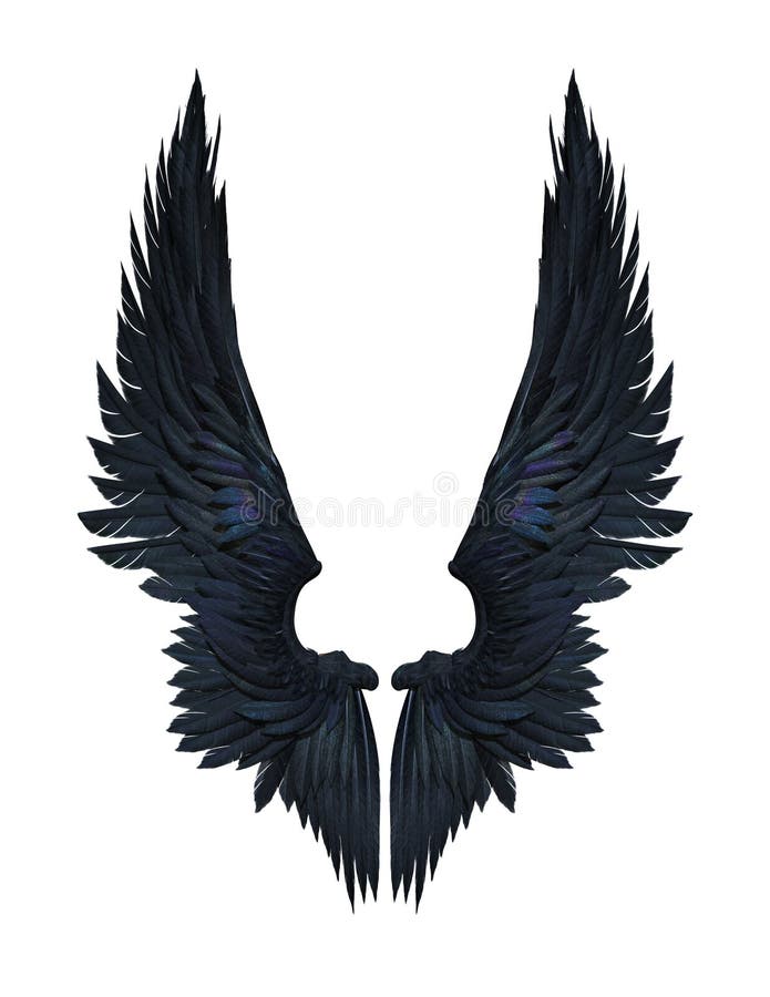 White and black wings. Angel and demon wings birds feathers