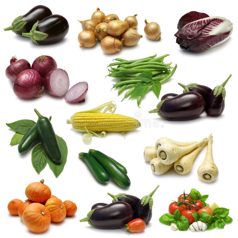 Demonstrador vegetal imagens de stock royalty free Demonstrador vegetal imagens de stock royalty free