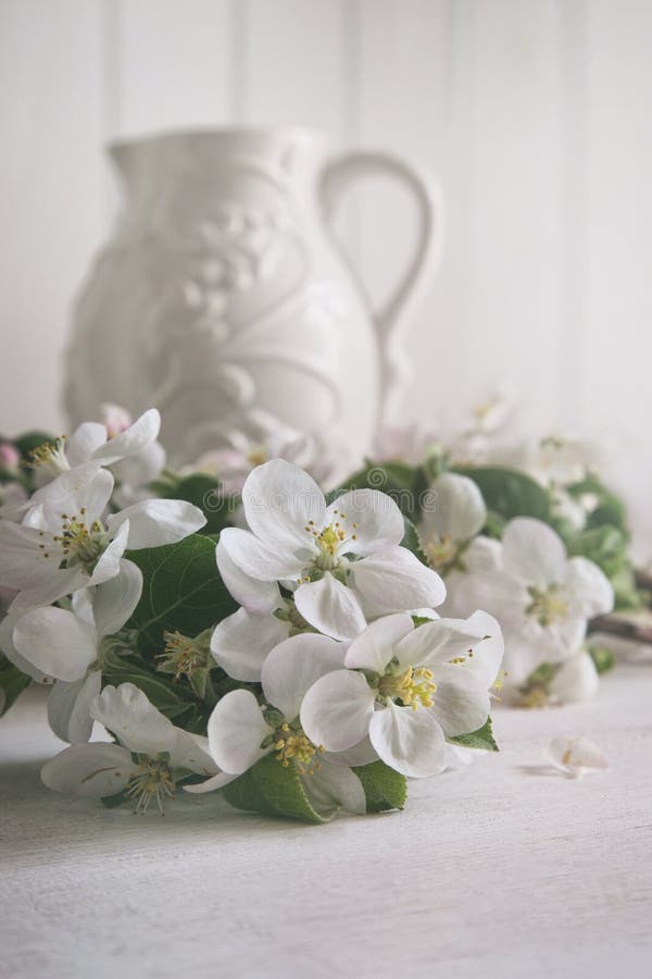 Den Apple blomningen blommar med tillbringaren i bakgrund royaltyfria bilder Den Apple blomningen blommar med tillbringaren i bakgrund royaltyfria bilder