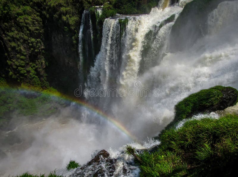 Den argentinska sidan av Iguassuen faller, i den Iguazu nationalparken, fotografering för bildbyråer Den argentinska sidan av Iguassuen faller, i den Iguazu nationalparken, fotografering för bildbyråer