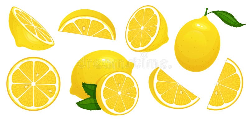 Den bakgrund isolerade citronen skivar white Ny citrus, halva skivade citroner och huggen av citron isolerad uppsättning för teck royaltyfri illustrationer