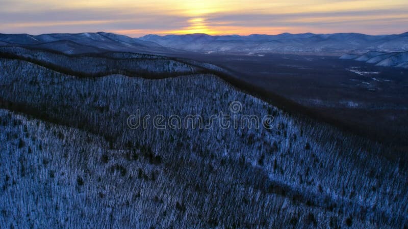 Den boreala skogens södra kant