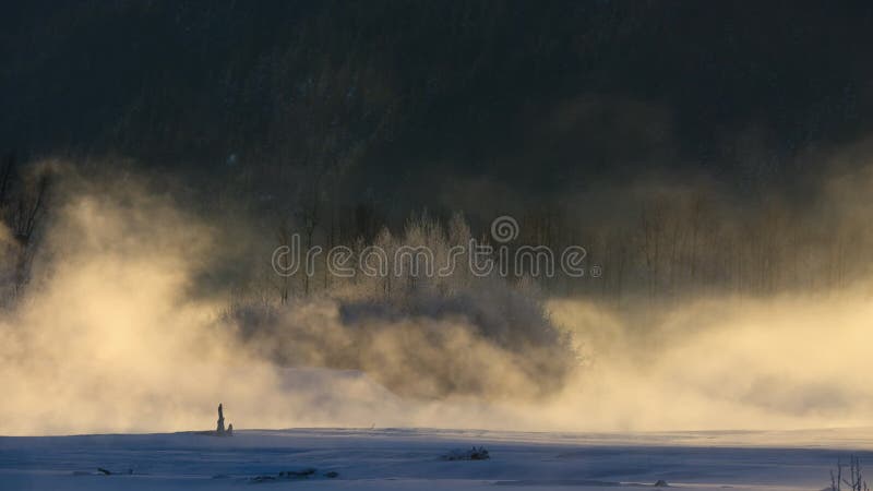 Den boreala skogens södra kant