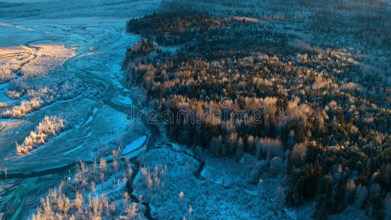 Den boreala skogens södra kant