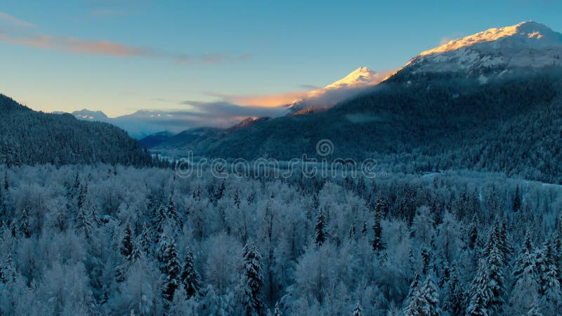 Den boreala skogens södra kant