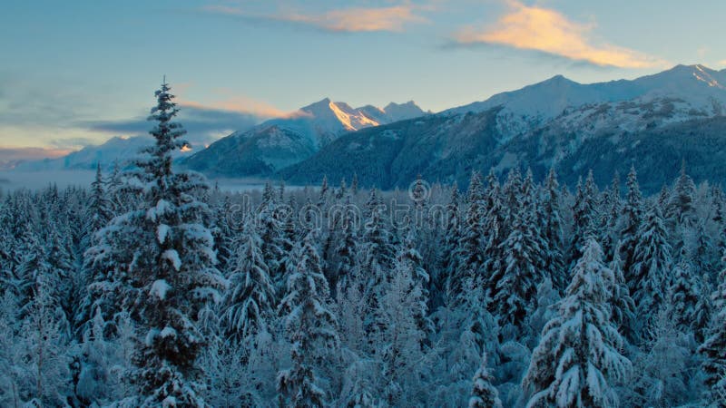 Den boreala skogens södra kant