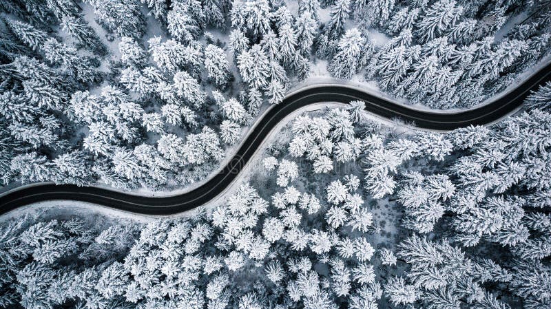 Den Curvy blåsiga vägen i snö täckte skogen, överkant ner flyg- sikt